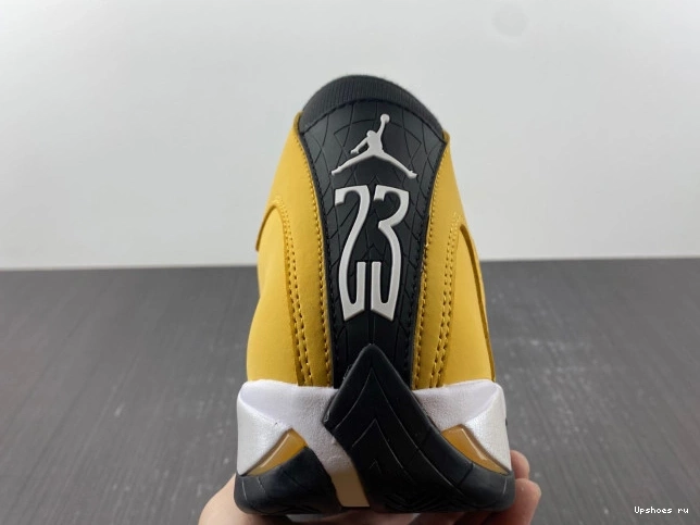 487471-701 Jordan Ginger  Retro 14 Light 0426